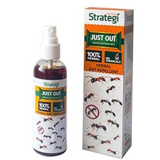 Strategi Ant Repellant