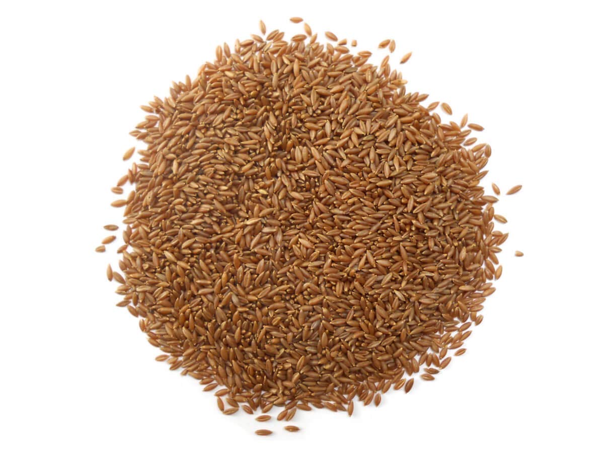 Vaer Organic Bamboo Rice