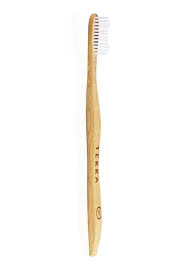 brush-adult-white