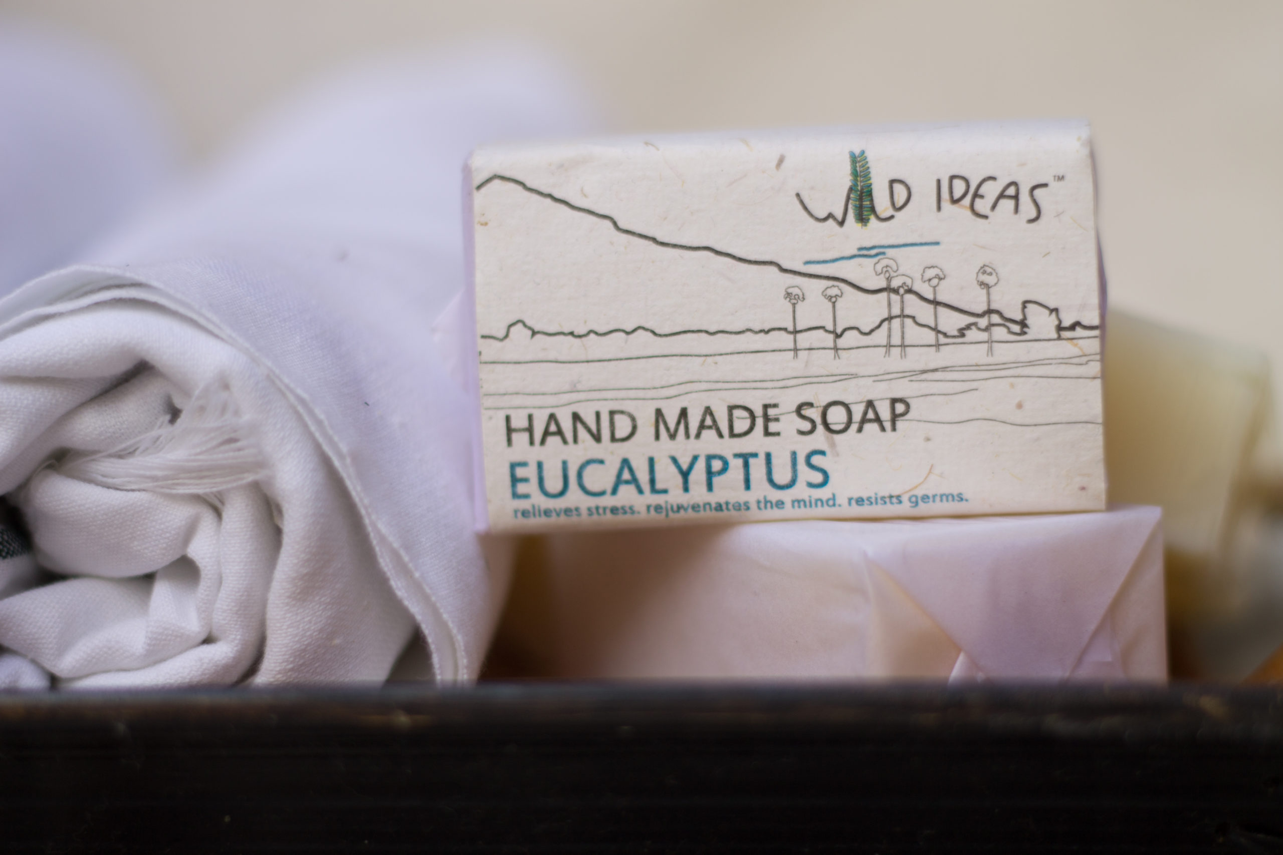Wild Ideas Eucalytupus Soap