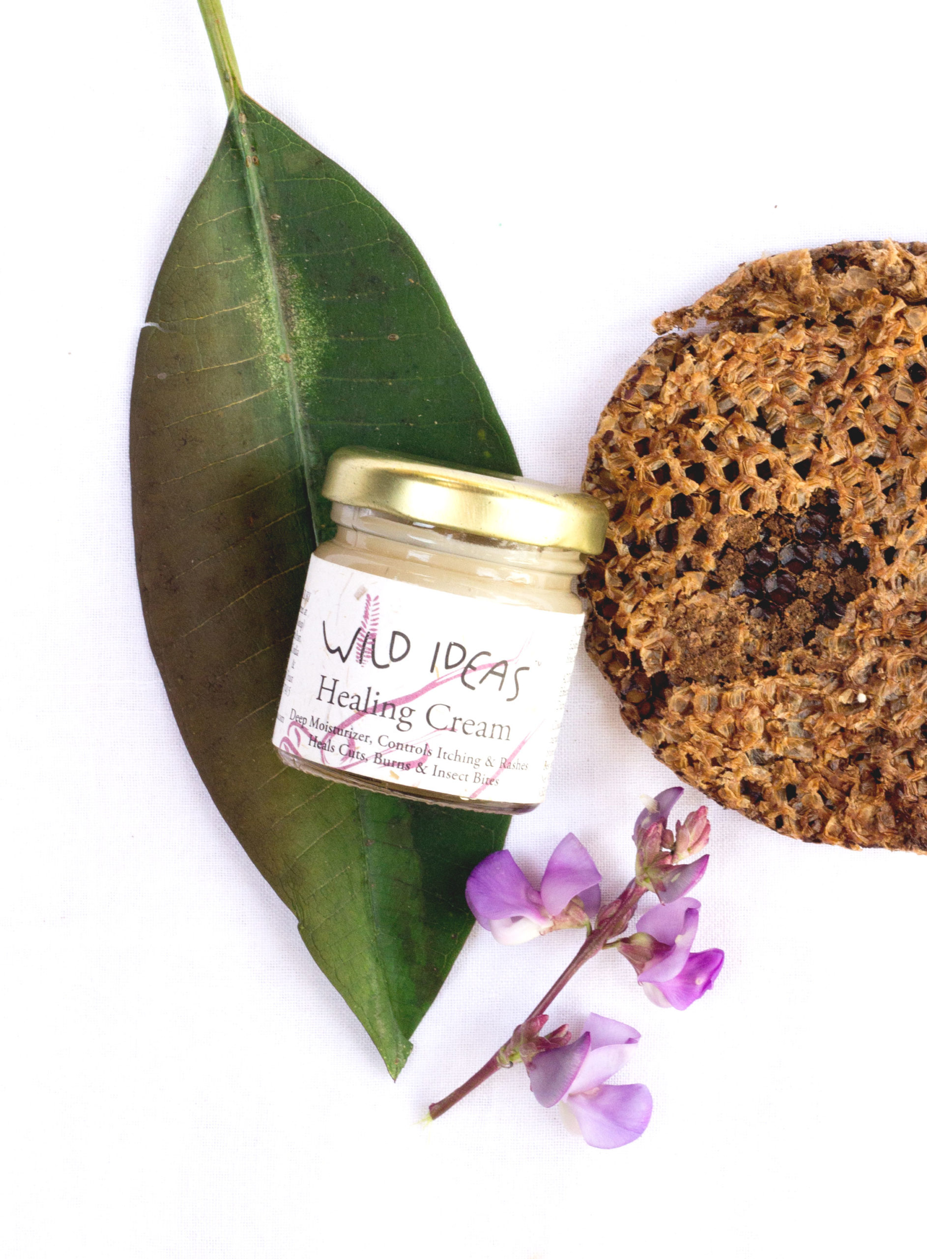 Wild Ideas Healing Cream