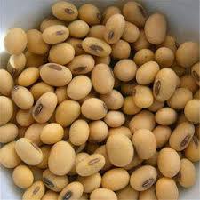 Vaer Organic Soya Beans